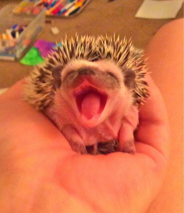 daily picdump 100 pics 30.html - 100 HD Photos | Premium Gallery 2018