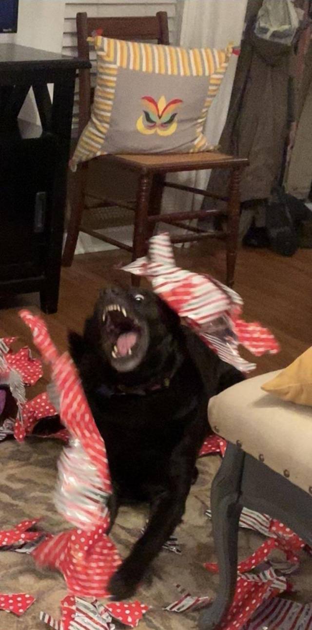 daily picdump 100 pics 30.html - 100 HD Photos | Premium Gallery 2018