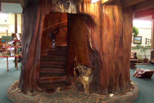 morning picdump 52 pics 50.html - 52 HD Photos | Premium Gallery 2018