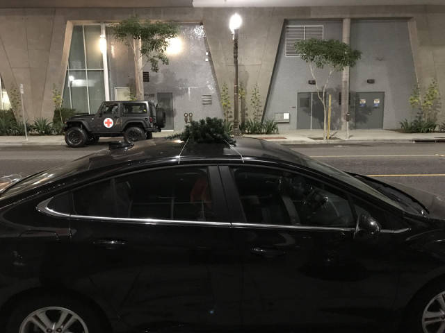 morning picdump 52 pics 50.html - 52 HD Photos | Premium Gallery 2018