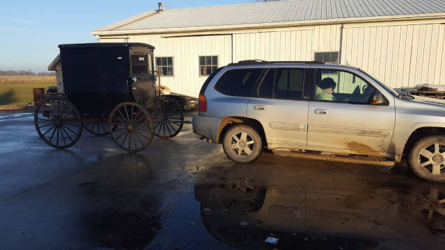 morning picdump 52 pics 50.html - 52 HD Photos | Premium Gallery 2018