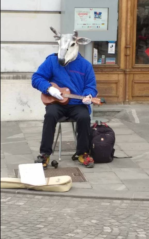 morning picdump 52 pics 50.html - 52 HD Photos | Premium Gallery 2018