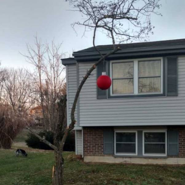 morning picdump 52 pics 49.html - 52 HD Photos | Premium Gallery 2018