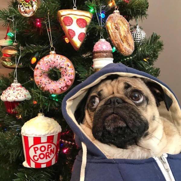 morning picdump 52 pics 49.html - 52 HD Photos | Premium Gallery 2018