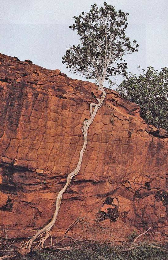 morning picdump 52 pics 49.html - 52 HD Photos | Premium Gallery 2018