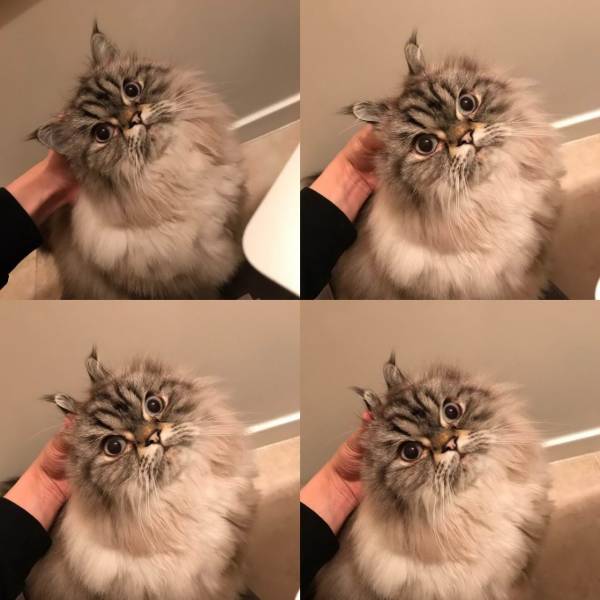 daily picdump 99 pics 31.html - 99 HD Photos | Premium Gallery 2018