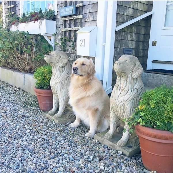 daily picdump 99 pics 31.html - 99 HD Photos | Premium Gallery 2018