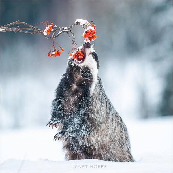 daily picdump 99 pics 31.html - 99 HD Photos | Premium Gallery 2018