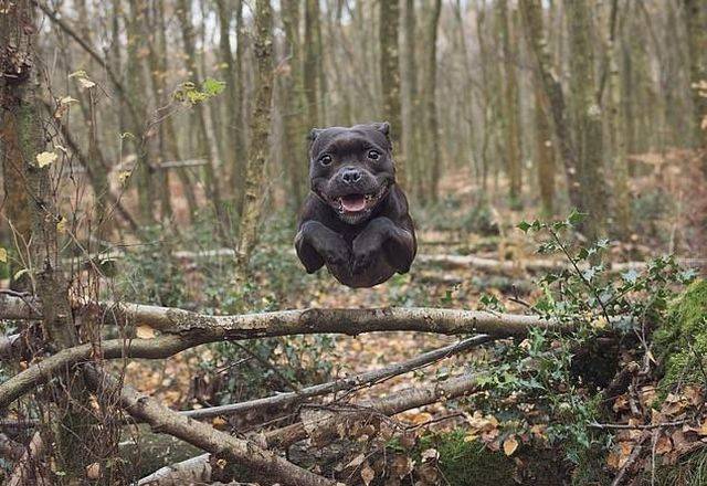 daily picdump 99 pics 31.html - 99 HD Photos | Premium Gallery 2018