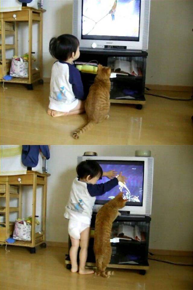 daily picdump 99 pics 31.html - 99 HD Photos | Premium Gallery 2018