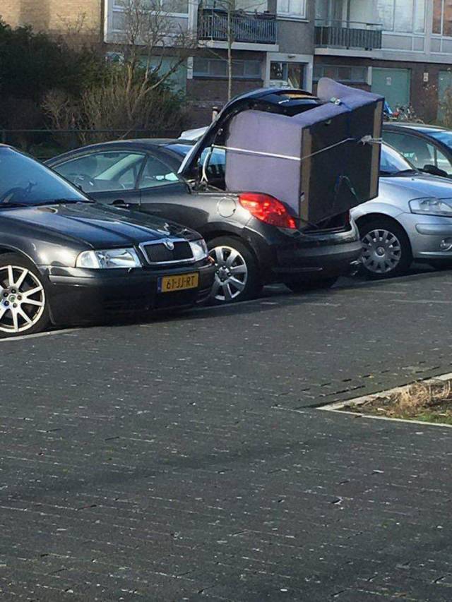 daily picdump 99 pics 31.html - 99 HD Photos | Premium Gallery 2018