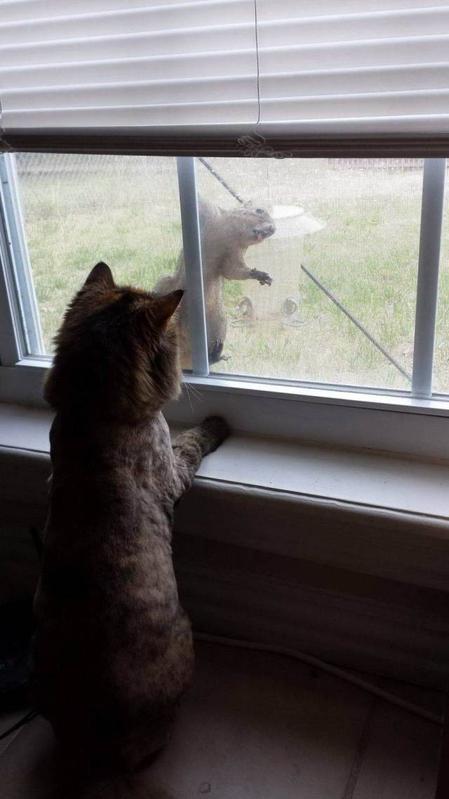 daily picdump 99 pics 31.html - 99 HD Photos | Premium Gallery 2018