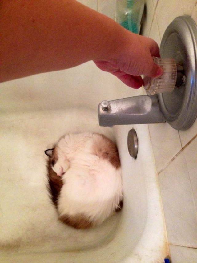 daily picdump 99 pics 31.html - 99 HD Photos | Premium Gallery 2018