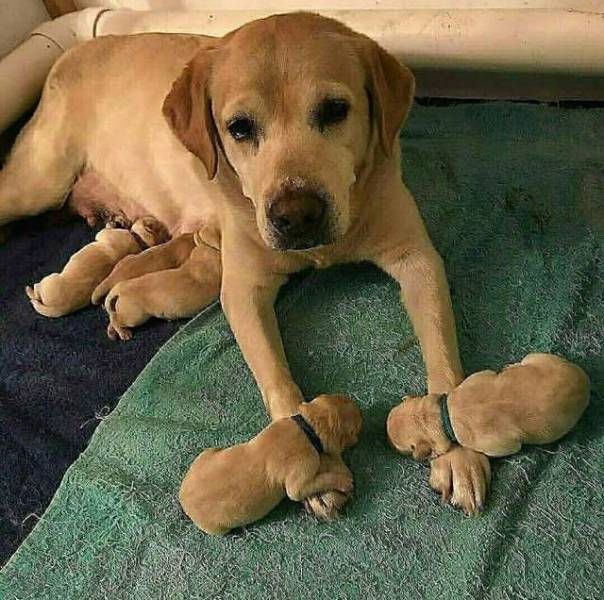 morning picdump 59 pics 55.html - 59 HD Photos | Premium Gallery 2018