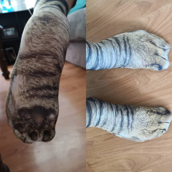 morning picdump 59 pics 55.html - 59 HD Photos | Premium Gallery 2018