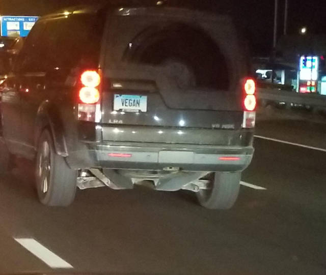 morning picdump 59 pics 55.html - 59 HD Photos | Premium Gallery 2018