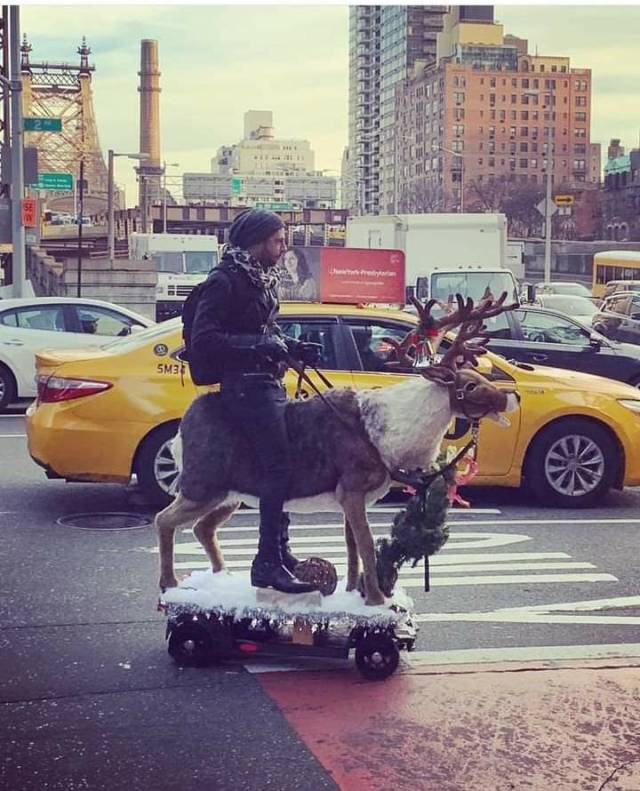 morning picdump 59 pics 55.html - 59 HD Photos | Premium Gallery 2018