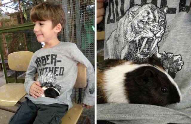 Daily Picdump [WEEKEND EDITION]