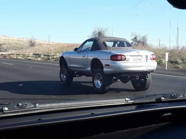 Daily Picdump [WEEKEND EDITION]