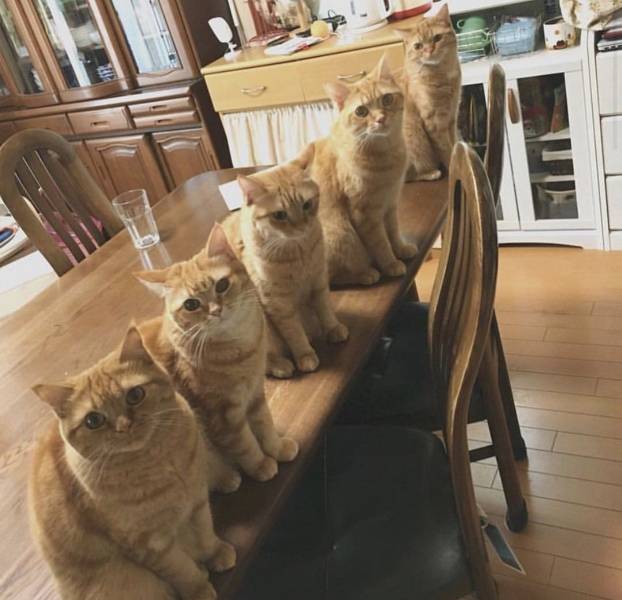 daily picdump weekend edition 68 pics 21.html - 68 HD Photos | Premium Gallery 2018