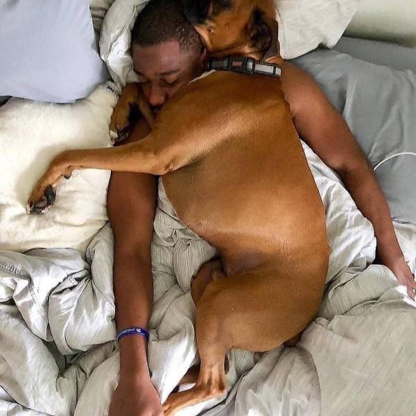 daily picdump weekend edition 68 pics 21.html - 68 HD Photos | Premium Gallery 2018