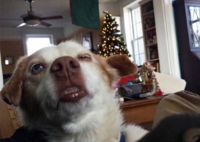 daily picdump weekend edition 68 pics 21.html - 68 HD Photos | Premium Gallery 2018