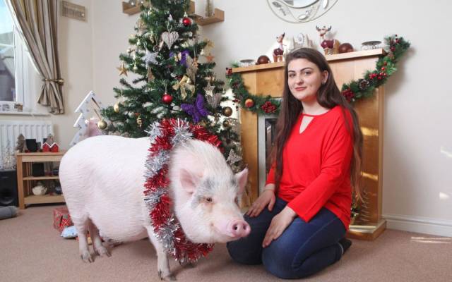 daily picdump weekend edition 68 pics 21.html - 68 HD Photos | Premium Gallery 2018