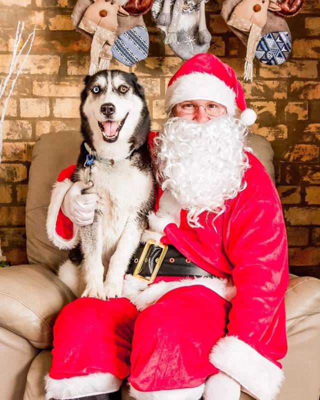 Daily Picdump [WEEKEND EDITION]