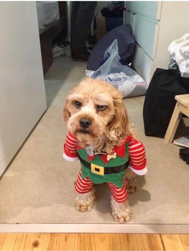 Daily Picdump [WEEKEND EDITION]