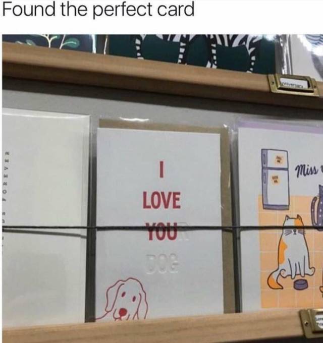 Daily Picdump [WEEKEND EDITION]