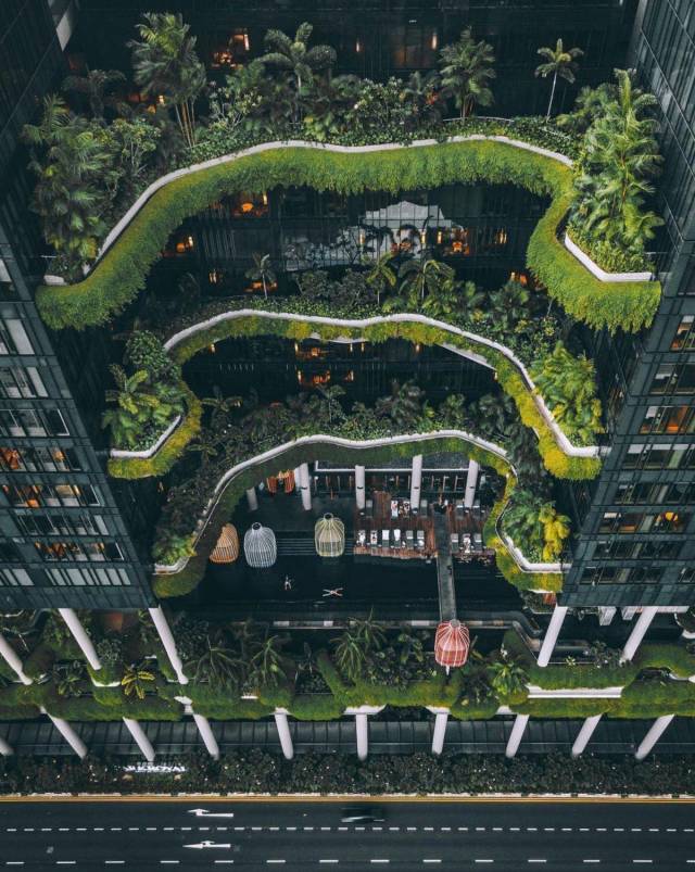 daily picdump weekend edition 68 pics 21.html - 68 HD Photos | Premium Gallery 2018