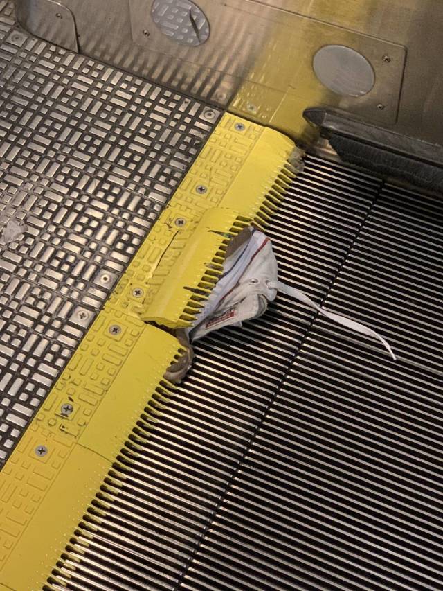 daily picdump weekend edition 68 pics 21.html - 68 HD Photos | Premium Gallery 2018