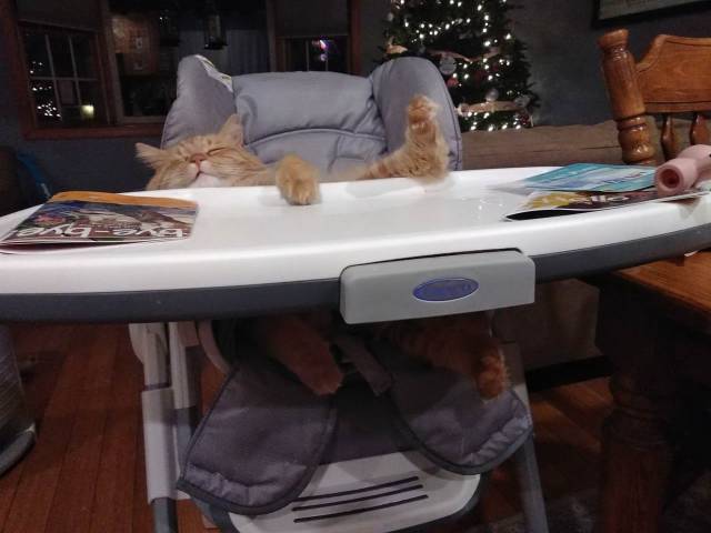 daily picdump 98 pics 4.html - 98 HD Photos | Premium Gallery 2018