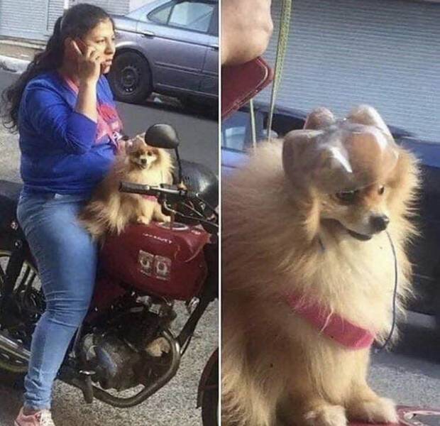 daily picdump 98 pics 4.html - 98 HD Photos | Premium Gallery 2018