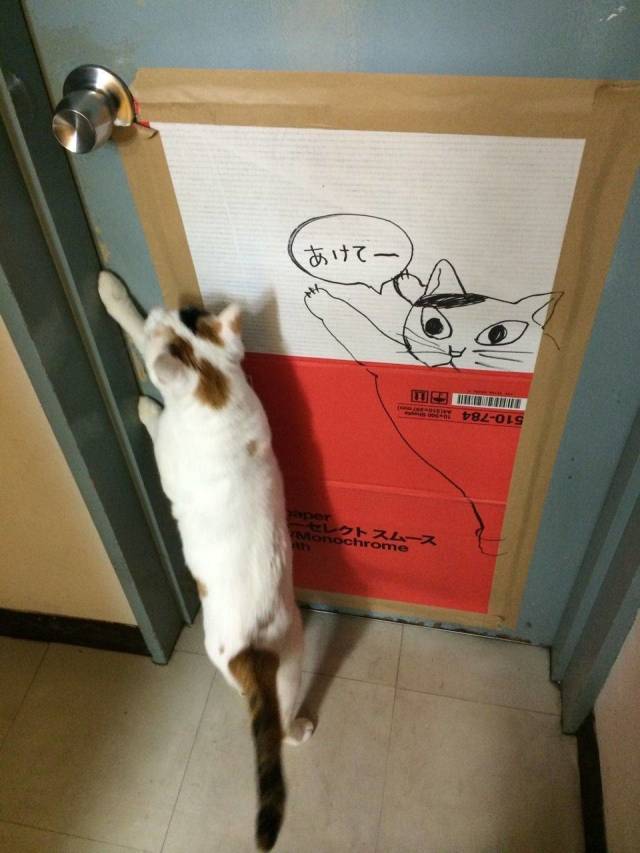 daily picdump 98 pics 4.html - 98 HD Photos | Premium Gallery 2018