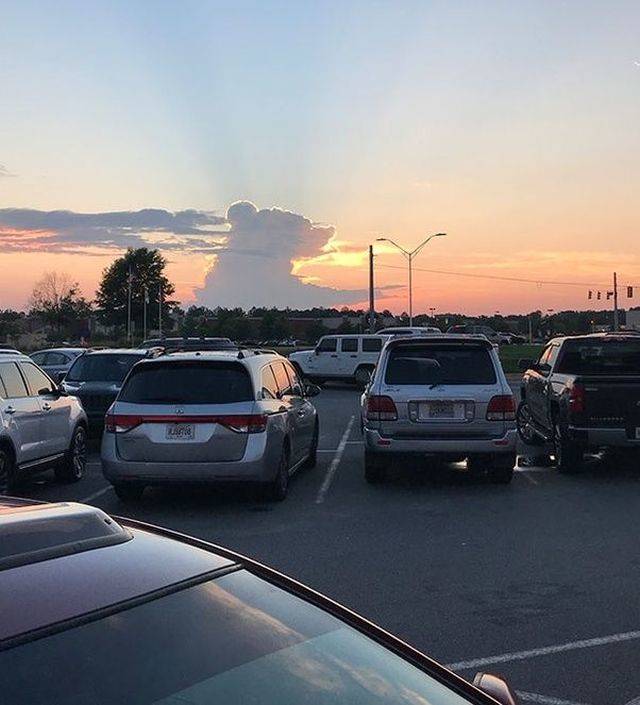 daily picdump 98 pics 4.html - 98 HD Photos | Premium Gallery 2018