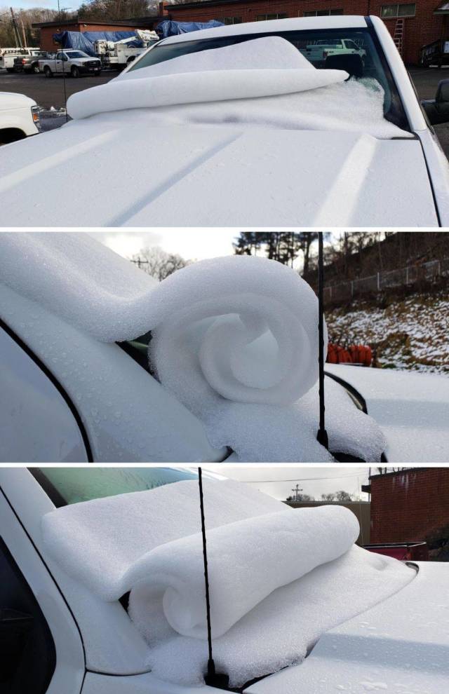 daily picdump 98 pics 4.html - 98 HD Photos | Premium Gallery 2018