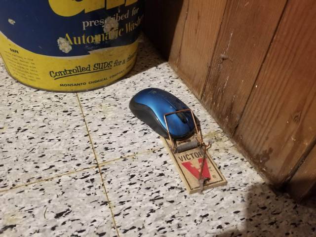 Morning Picdump