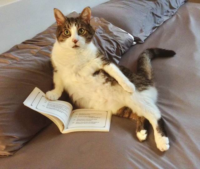 Morning Picdump