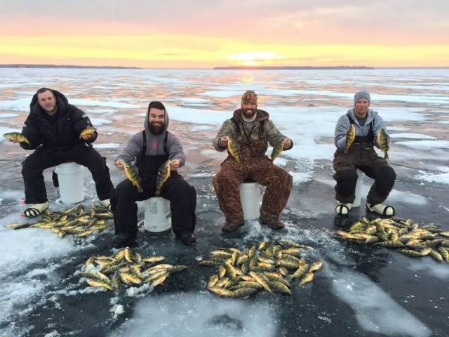 daily picdump 91 pics 20.html - 91 HD Photos | Premium Gallery 2018