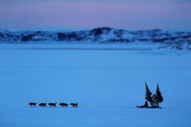 daily picdump 91 pics 20.html - 91 HD Photos | Premium Gallery 2018