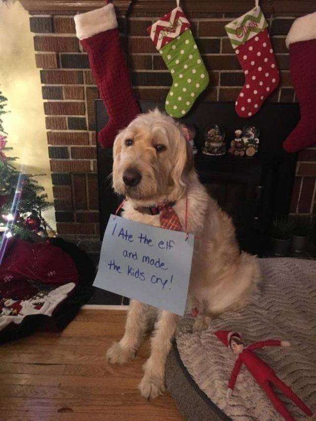 daily picdump 91 pics 20.html - 91 HD Photos | Premium Gallery 2018