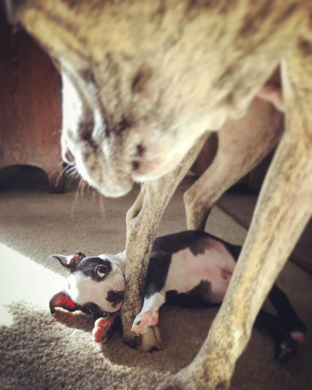 daily picdump 91 pics 20.html - 91 HD Photos | Premium Gallery 2018