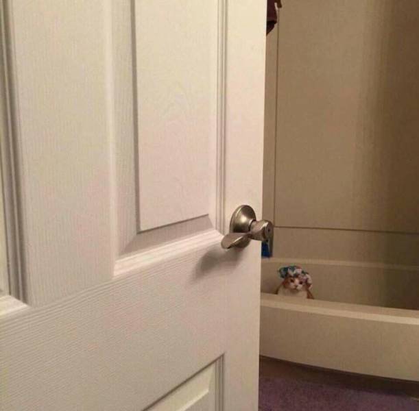 Morning Picdump