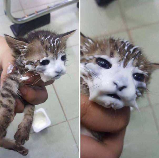 morning picdump 54 pics 22.html - 54 HD Photos | Premium Gallery 2018