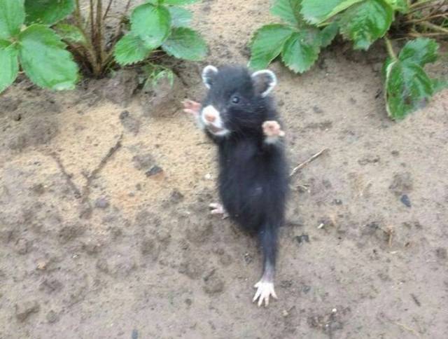 morning picdump 54 pics 22.html - 54 HD Photos | Premium Gallery 2018