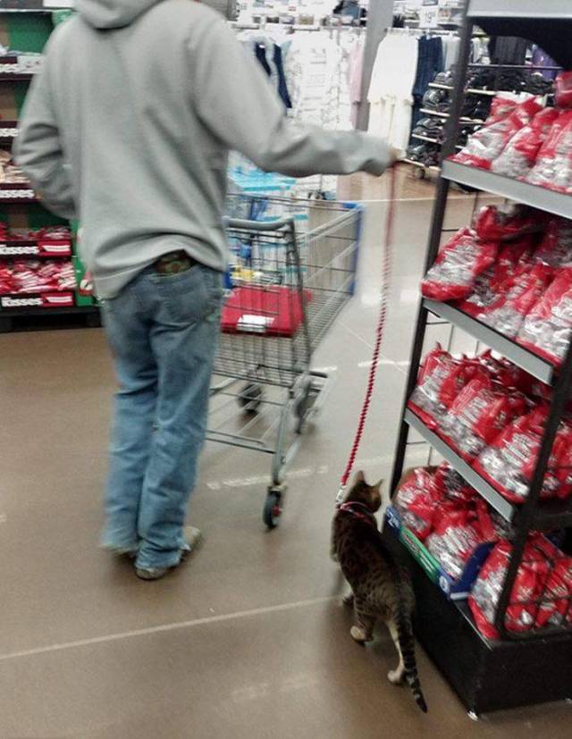 Morning Picdump