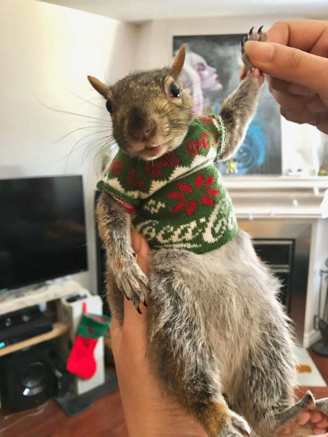 morning picdump 54 pics 22.html - 54 HD Photos | Premium Gallery 2018