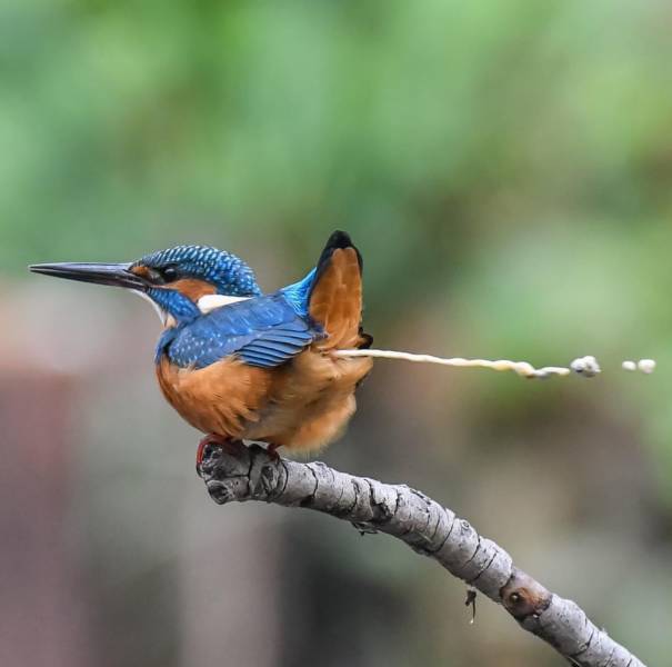 daily picdump 90 pics 20.html - 90 HD Photos | Premium Gallery 2018