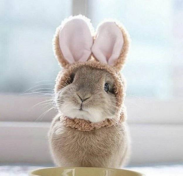 daily picdump 90 pics 20.html - 90 HD Photos | Premium Gallery 2018